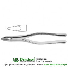 American Pattern Tooth Extracting Forcep Fig. 1 (For Upper Incisors and Canines) Stainless Steel, Standard